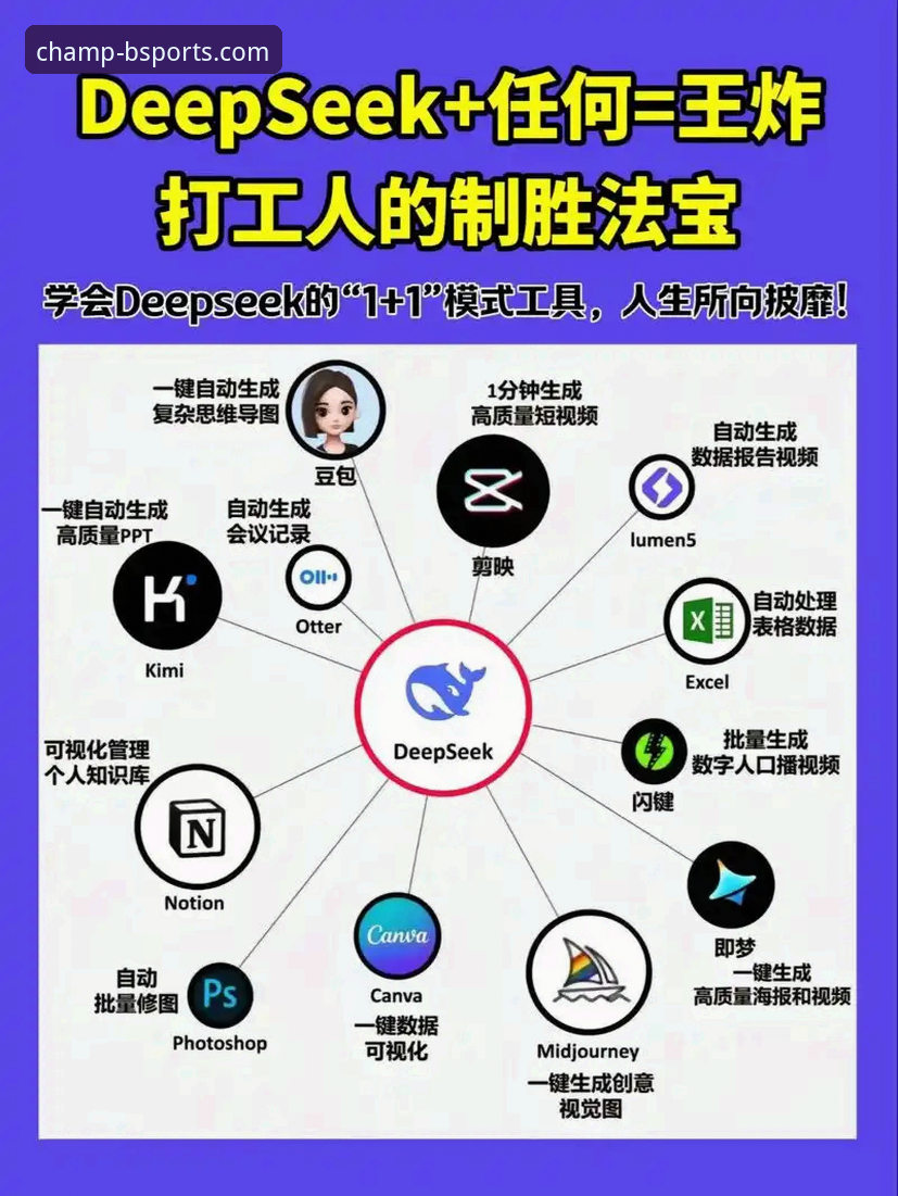 深度解析：实战派用户必读指南